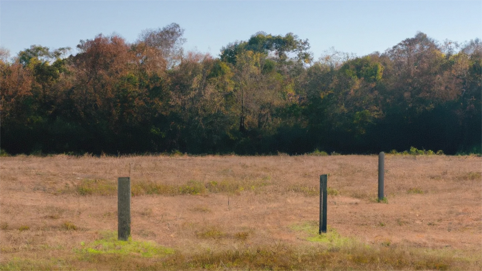 Open Ohio land access road near Delaware County